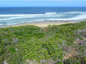 1250 m² Land available in Moquini Coastal Estate