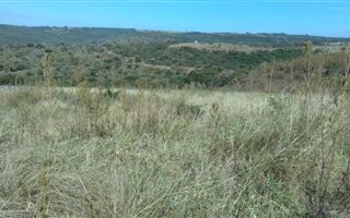 3.2 ha Land available in Mkondeni