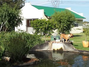 2 Bed Garden Cottage in Petit