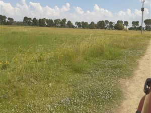 1 ha Land available in Grasslands