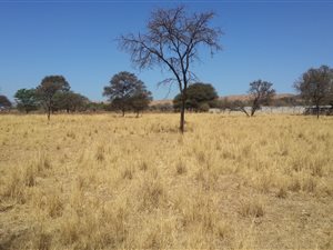 1 ha Land available in Strydfontein and surrounds