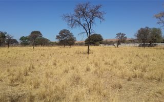1 ha Land available in Strydfontein and surrounds