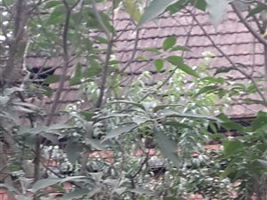 1000 m² Land available in New Hanover