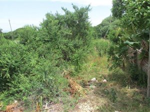 877 m² Land available in Tergniet