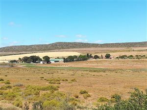 2121 ha Farm in Piketberg
