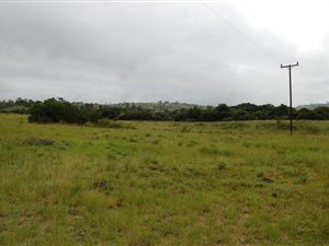 143 ha Farm in Izotsha