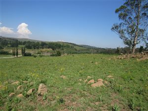 2.4 ha Land available in Rosetta