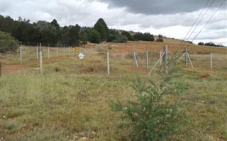 1 ha Land available in Homestead Apple Orchards