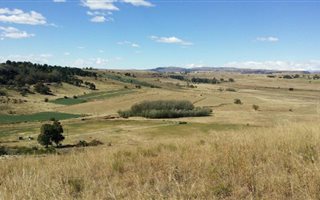 171 ha Farm in Bethlehem