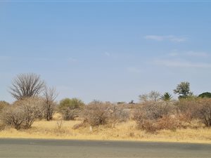 8.5 ha Smallholding in Mabopane