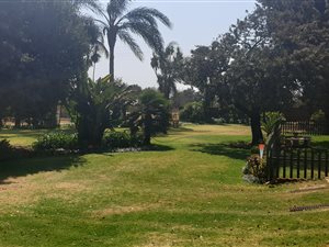 8 ha Farm in Tierpoort
