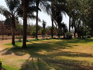 8 ha Farm in Tierpoort