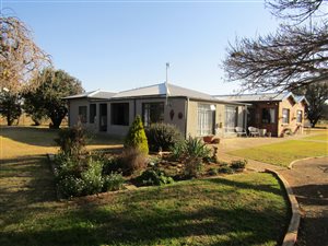 4 ha Farm in Bainsvlei