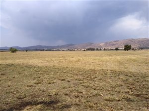 116 ha Farm in Skeerpoort