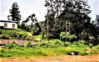2.2 ha Land available in Shakaskraal