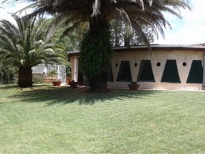 8922 m² Land available in De Deur