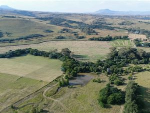 20 ha Farm in Newcastle Central