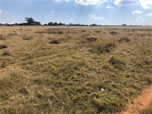 2.6 ha Land available in Rikasrus AH