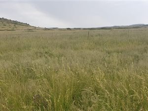 987.8 ha Farm in Fauresmith