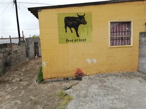 1 Bed House in Blue Downs