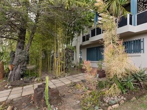 4 Bed House in Eden