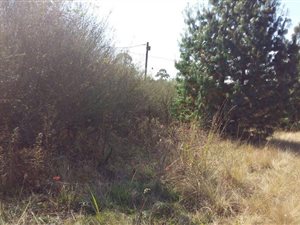 3474 m² Land available in Balgowan