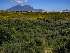 1067 m² Land available in Welgelegen Estate