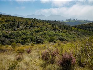 1067 m² Land available in Welgelegen Estate