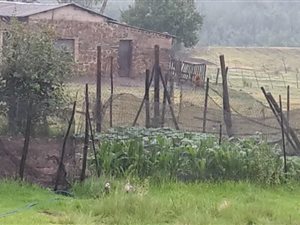 79 ha Farm in Hartbeesfontein