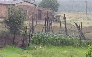 79 ha Farm in Hartbeesfontein