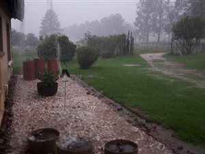 79 ha Farm in Hartbeesfontein