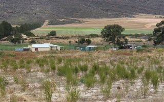 516.2 ha Farm in Aurora