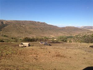 798 ha Farm in Marquard