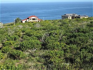 980 m² Land available in Village On Sea