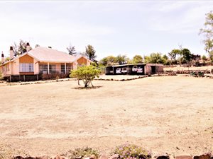 85 ha Farm in Wepener