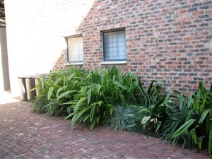 2 Bed Apartment in Equestria