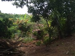 1351 m² Land available in Verulam