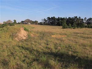 3.2 ha Land available in Piesang Valley