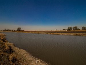 32.6 ha Land available in Lilyvale