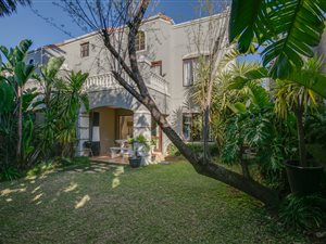 1 Bed Apartment in Melrose North