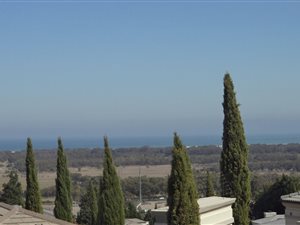 1 Bed Apartment in Heldervue