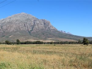 15 ha Farm in Wolseley