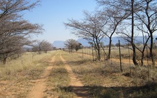 381 ha Farm in Alma
