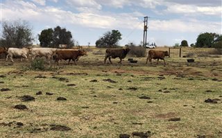 1093.6 ha Farm in Lichtenburg