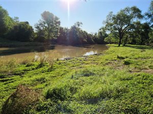82 ha Farm in Lephalale (Ellisras)