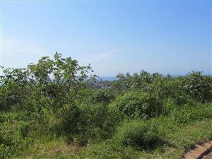 1100 m² Land available in Saiccor
