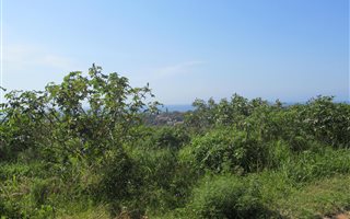 1100 m² Land available in Saiccor