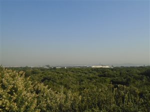 170000 m² Industrial space in Prospecton Industrial