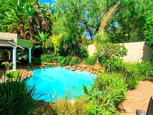 3 Bed House in Blairgowrie