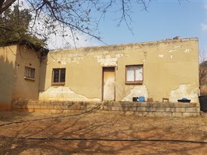 5.6 ha Land available in De Deur